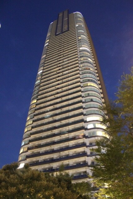 パークシティ武蔵小杉 ミッドスカイタワーの物件外観写真