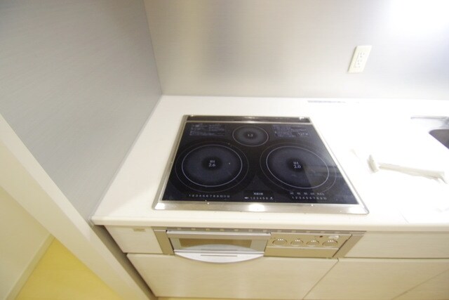 パークシティ武蔵小杉 ミッドスカイタワーの物件内観写真