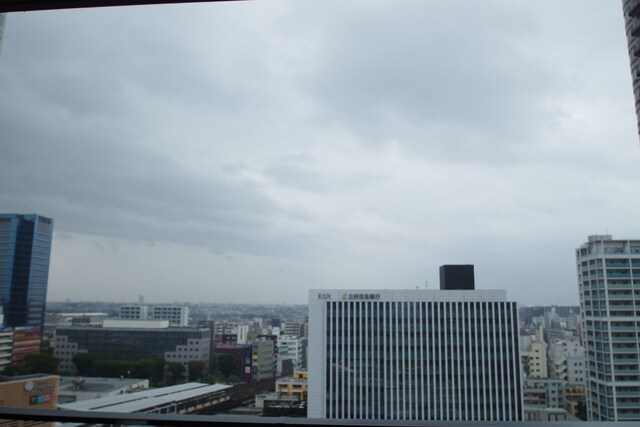 パークシティ武蔵小杉 ミッドスカイタワーの物件内観写真