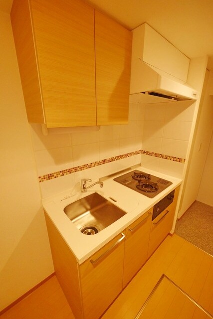 パークキューブ武蔵小杉の物件内観写真