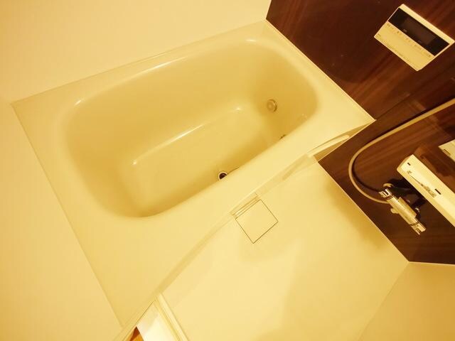 エブリン溝ノ口の物件内観写真