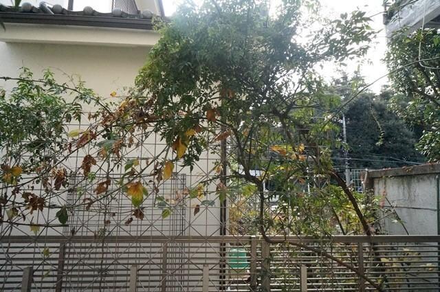 SUNNY COURT Aの物件内観写真