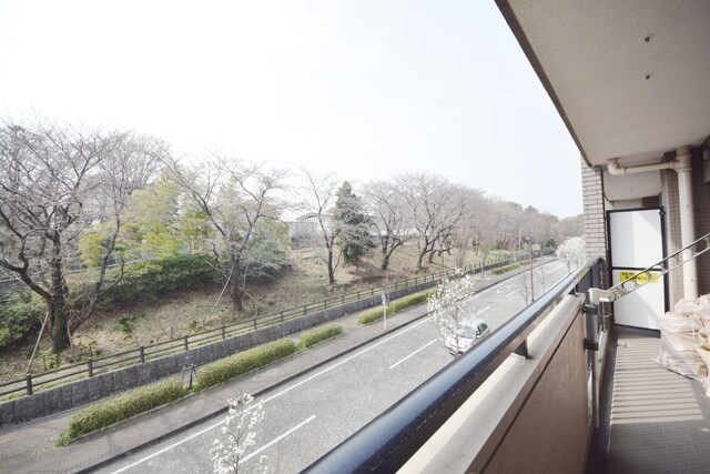 フォレストパーク相模原の物件内観写真