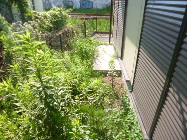 コートヒルズ の物件内観写真