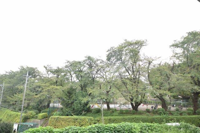 グリーンヒルズ大澤Cの物件内観写真