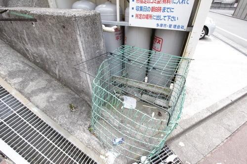 リトルグローブの物件内観写真