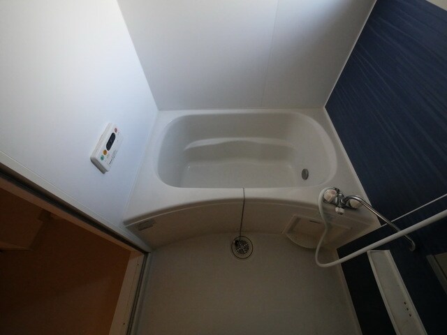 ヴィオラの物件内観写真