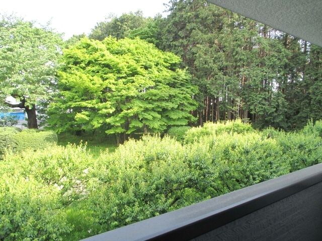 アムール矢部の物件内観写真