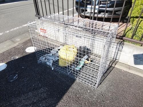 モナリエーEの物件内観写真