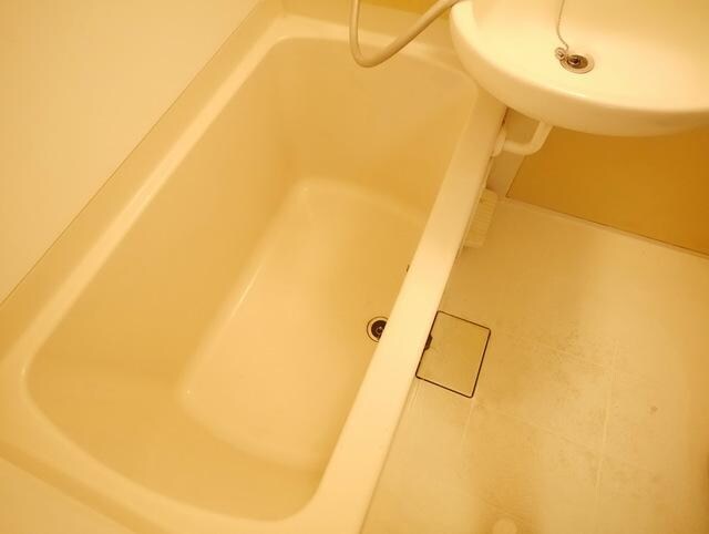 ルーブル二子多摩川の物件内観写真