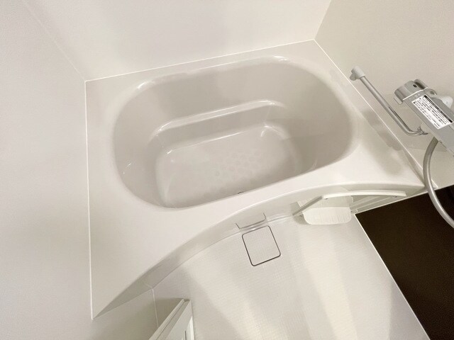 ラフィスタ鷺沼 南棟の物件内観写真