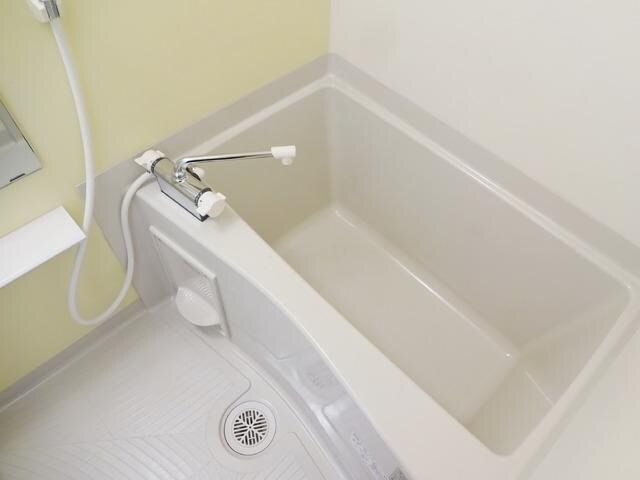 スカイコートパレス溝の口の物件内観写真