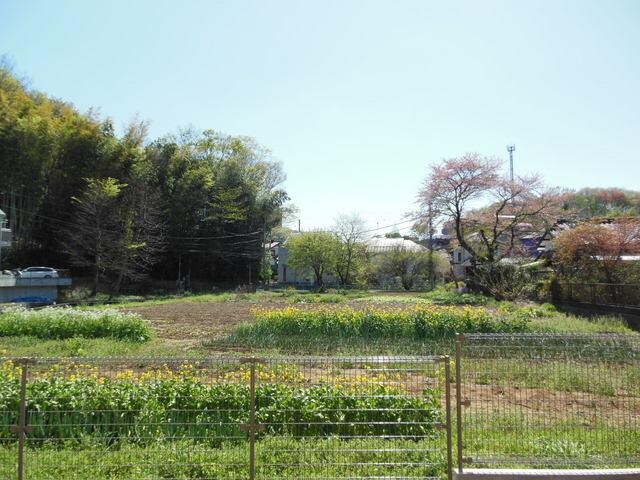 アマビリスの物件内観写真