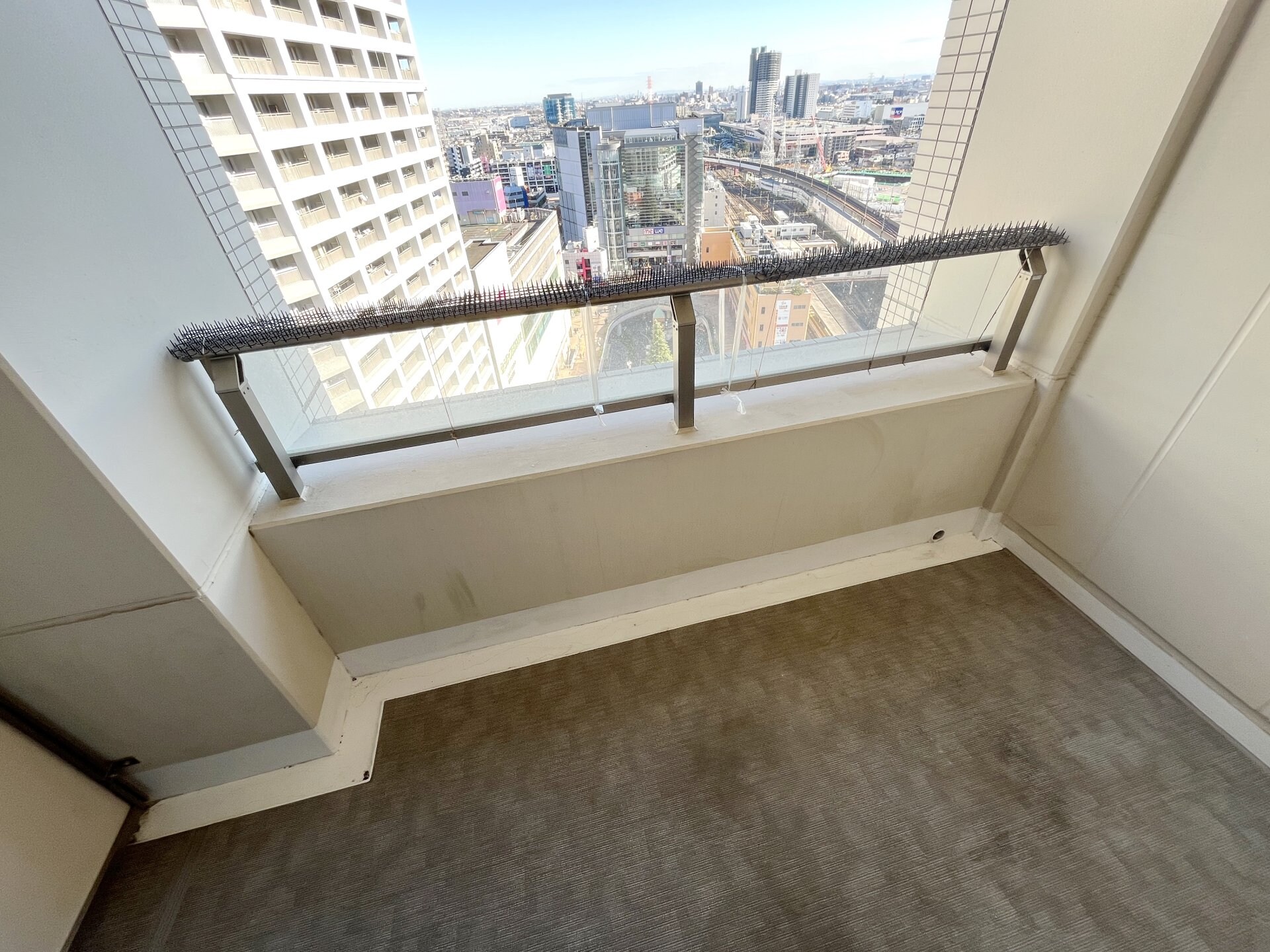 ザ・ハシモトタワーの物件内観写真