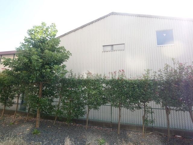 グランドルチェの物件内観写真