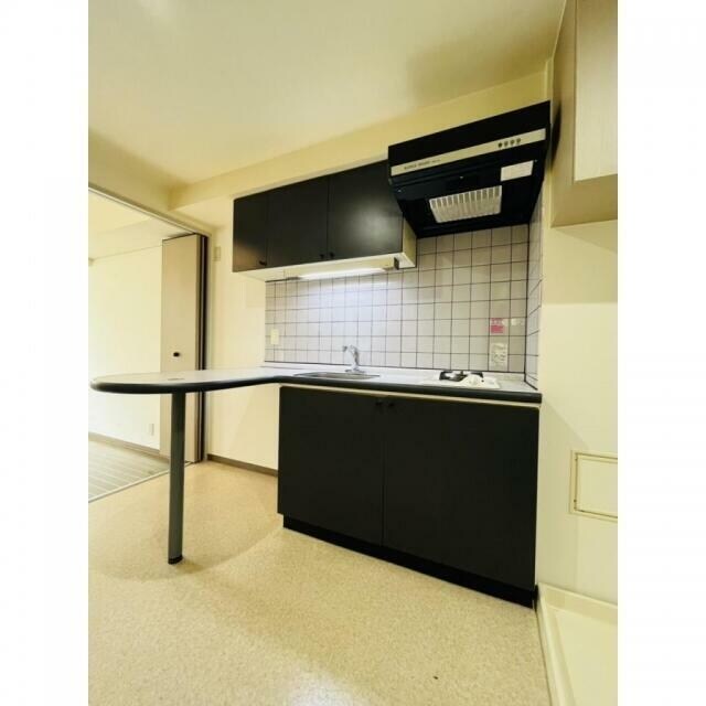 ピアレジアオヤマVの物件内観写真