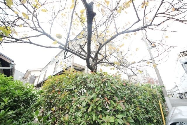 メゾンドグレイスの物件内観写真