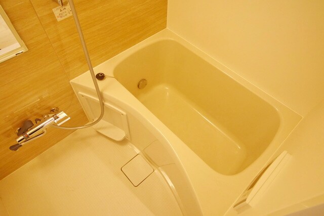 ザ・レジデンス武蔵小杉の物件内観写真