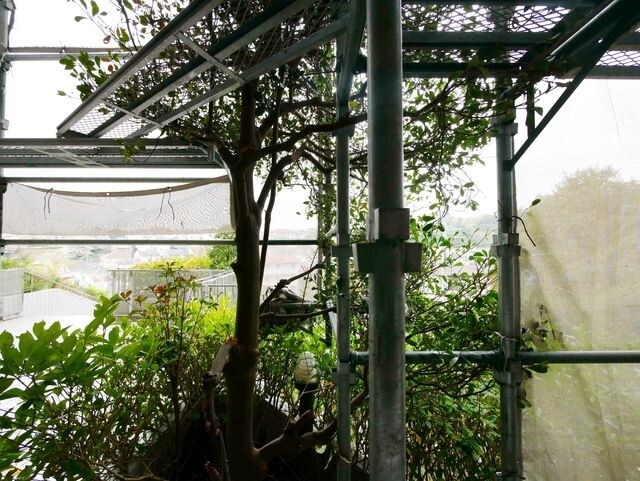 読売ランド第一マンションズの物件内観写真