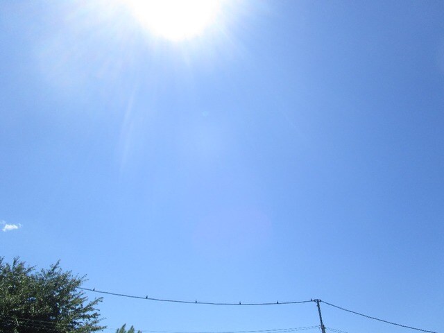 エイム Iの物件内観写真