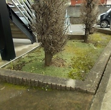 レオパレスメローネVIの物件内観写真