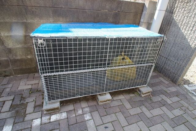 フランネルの物件内観写真