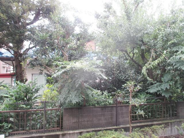 メゾンプリムローズの物件内観写真