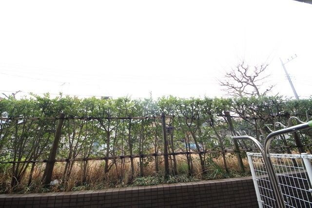 東急ドエル・アルス江田の物件内観写真