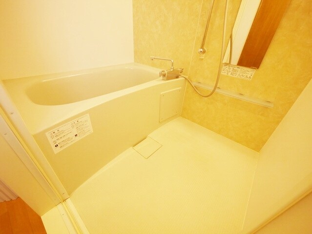 セレーヌ仲町台Aの物件内観写真