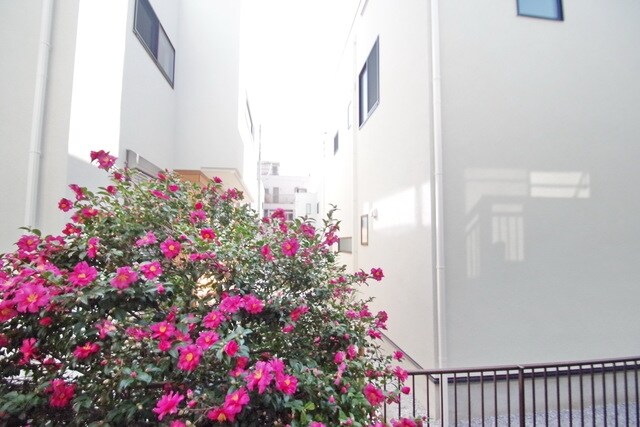 レスパスノンシャランの物件内観写真