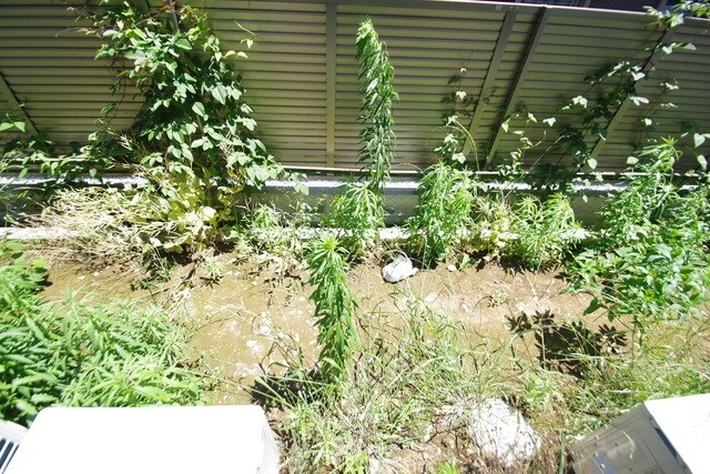 グロース百合ヶ丘の物件内観写真