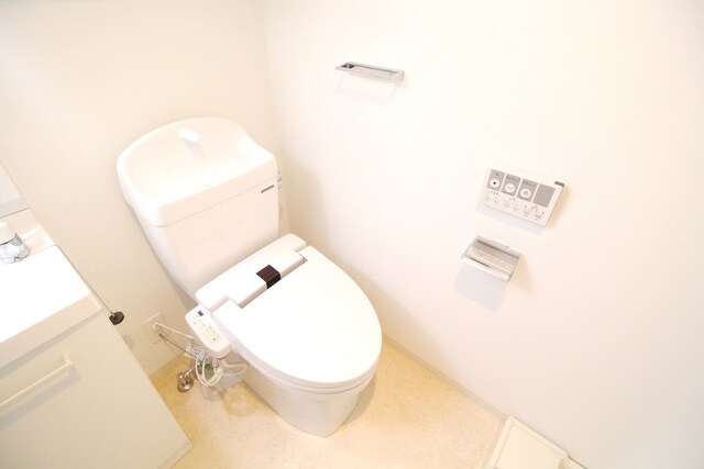 スカイコートパレス溝の口の物件内観写真