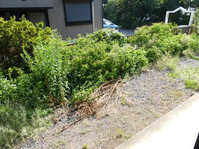 パインアベニューハイムの物件内観写真