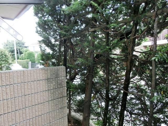 ジョイテラスの物件内観写真