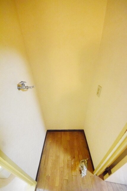 武蔵ハイツIの物件内観写真