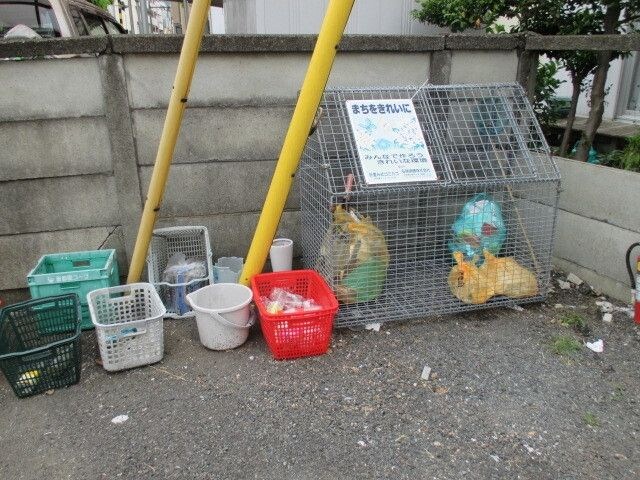 白百合荘の物件内観写真