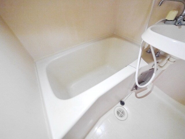 ウェルハイム小泉の物件内観写真