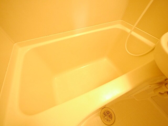 ヤングリーヴスの物件内観写真