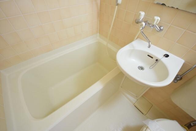 モンターニュ国領の物件内観写真