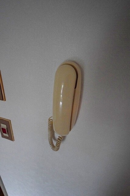 ライオンズマンション調布の物件内観写真