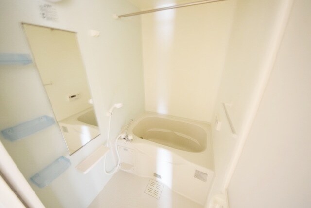 カーサ アモローザの物件内観写真