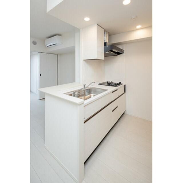 アビティグランデ砧 (B棟)の物件内観写真