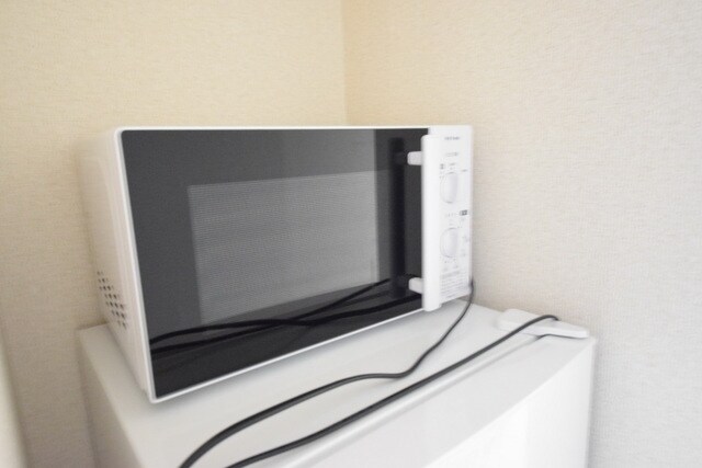 レオネクスト岩澤の物件内観写真