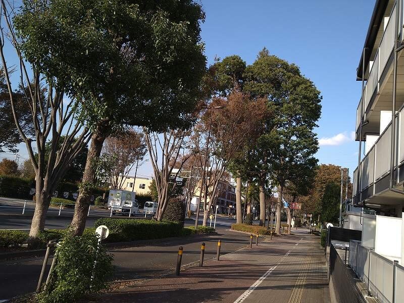 レオパレスSANYAの物件内観写真