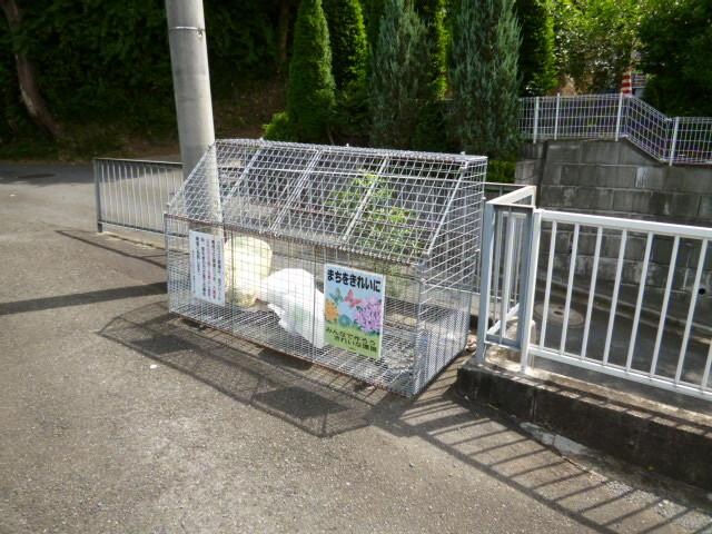 グリーンハイツ(連光寺)の物件内観写真