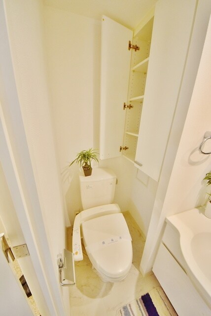 ドゥーエつつじヶ丘 の物件内観写真