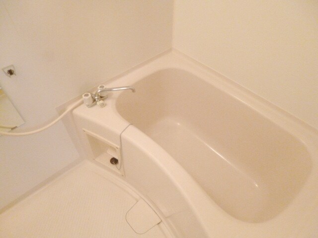 セントラルパディの物件内観写真