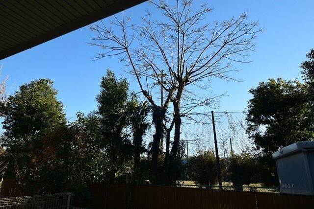 アドヴァンスKの物件内観写真