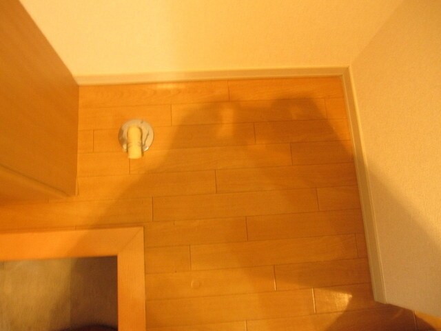 エメラルダスの物件内観写真