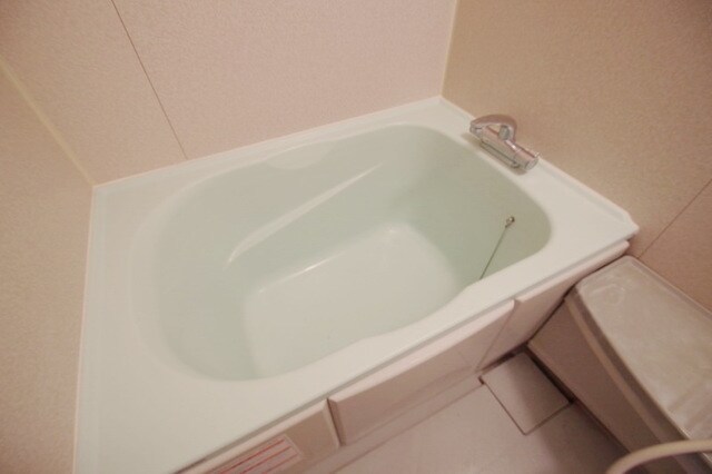 Primrose・Nativeの物件内観写真